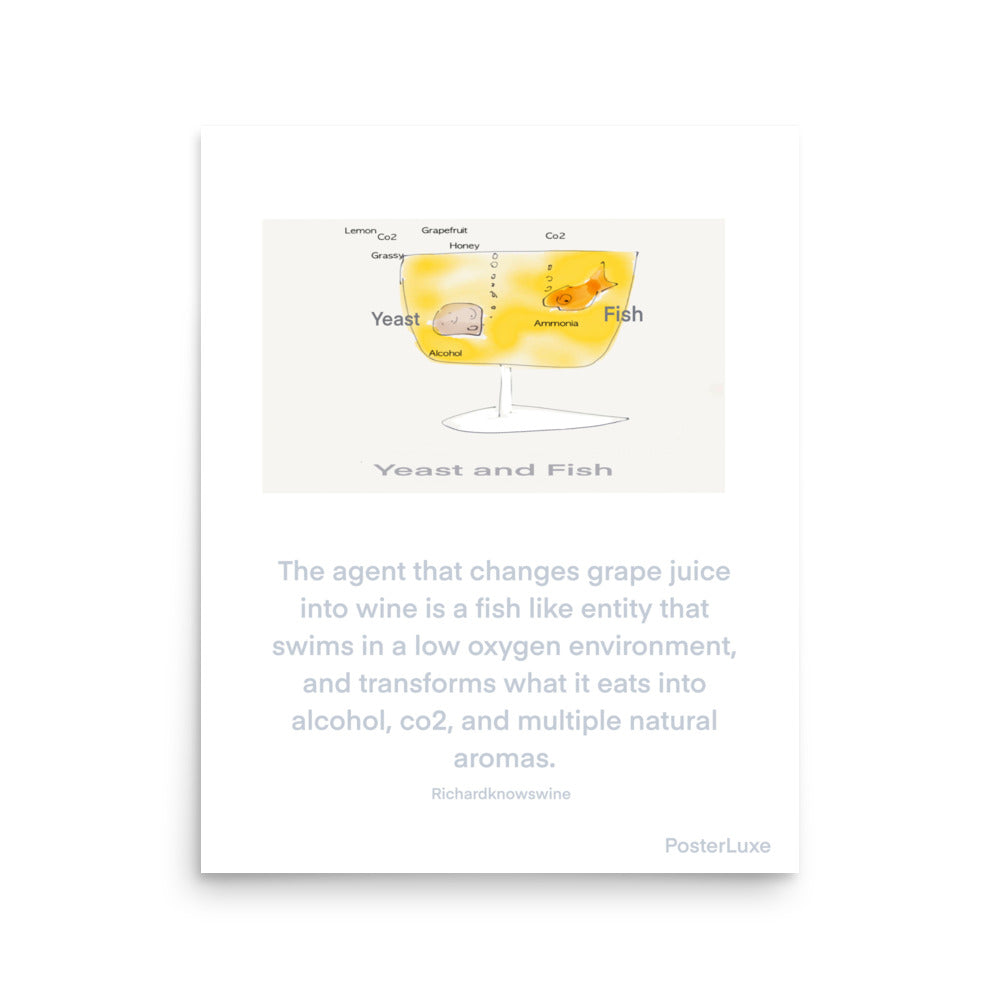 Fish And Yeast